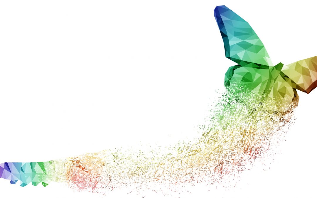 Mit emotionaler Intelligenz und Kreativität kraftvoll in die Transformation